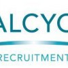 Halcyon Recruitment